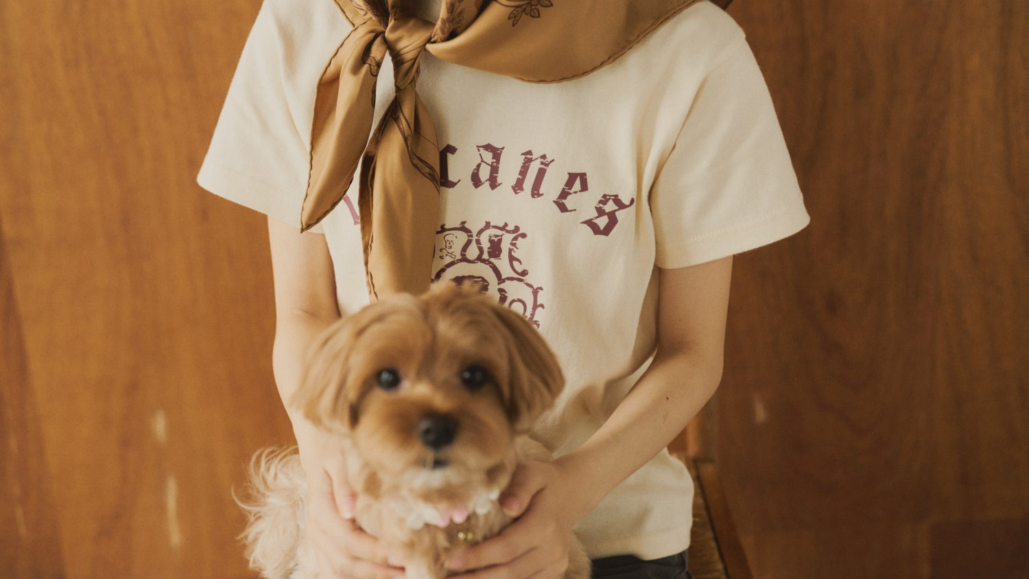 ピースワンコ・ジャパン ふるさと納税への寄付のご報告