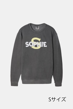 Garment Dyed 6.4 oz Lightweight Crewneck Sweatshirt【26sw-10】※袖レース無し