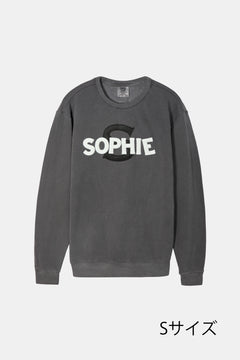 Garment Dyed 6.4 oz Lightweight Crewneck Sweatshirt【26sw-12】※袖レース無し
